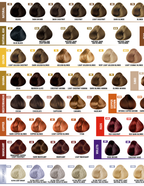 Hair Dye Color | Liposome Hair Color | Chenice Beverly Hills